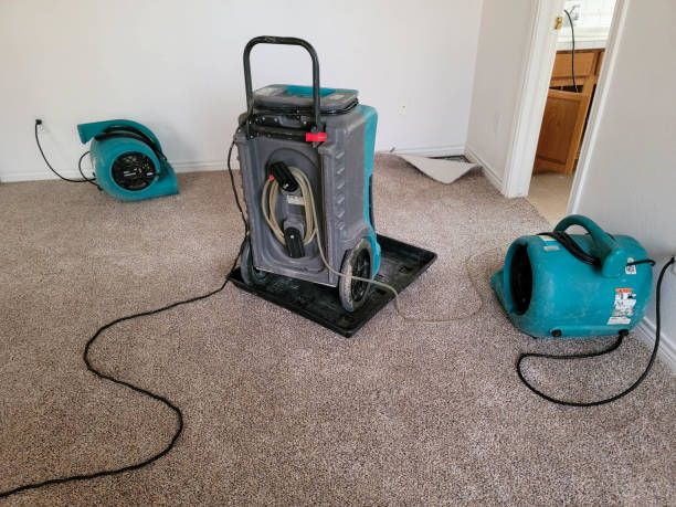 Reliable SD Water damage restoration Solutions