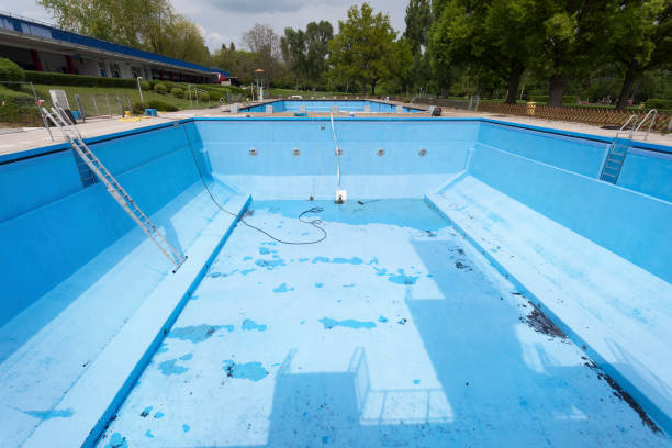 Best Basement water damage restoration  in Platte, SD