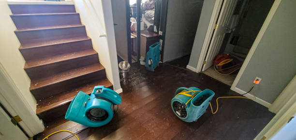 Best Commercial water damage restoration  in Platte, SD