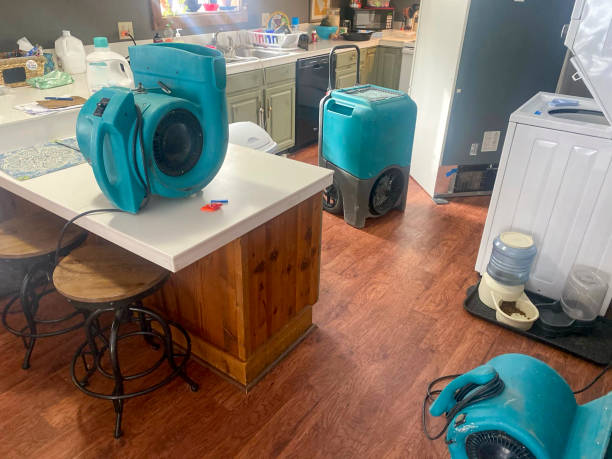 Best Mold removal after water damage  in Platte, SD