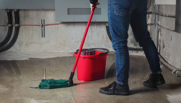  Platte, SD Water damage restoration Pros