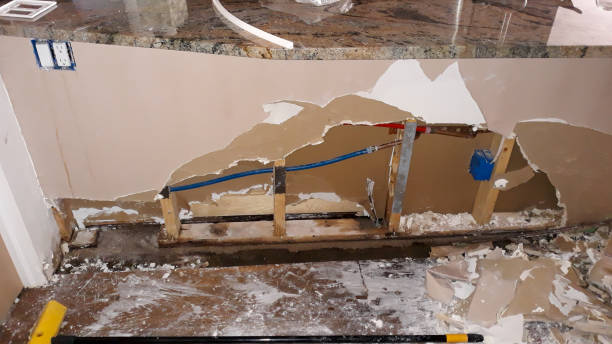 Best Professional water damage repair  in Platte, SD
