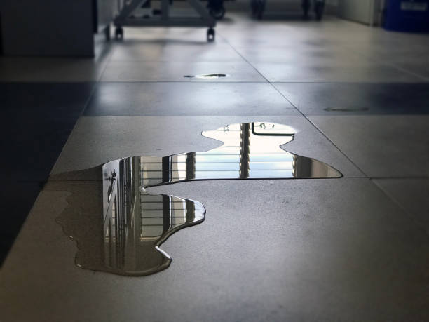 Local water damage restoration in SD