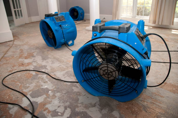 Best Flooded house restoration  in Platte, SD