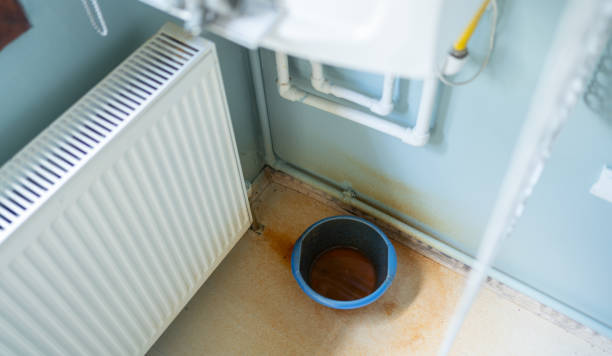 Best Sewage cleanup and water damage restoration  in Platte, SD