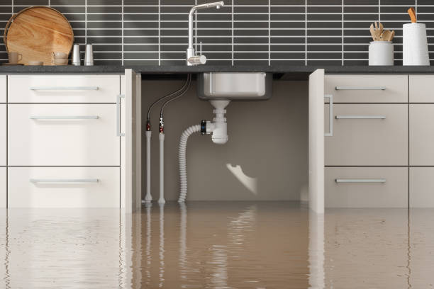 Carpet water damage restoration in SD