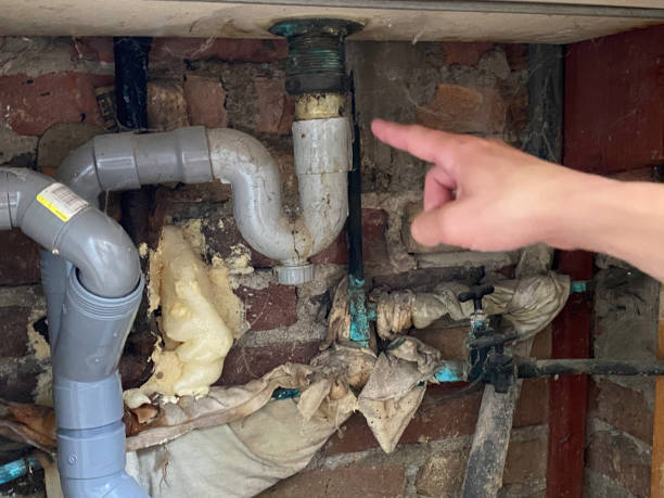Best Water damage restoration near me  in Platte, SD