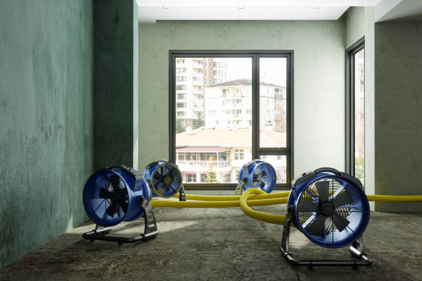 Best Carpet water damage restoration  in Platte, SD